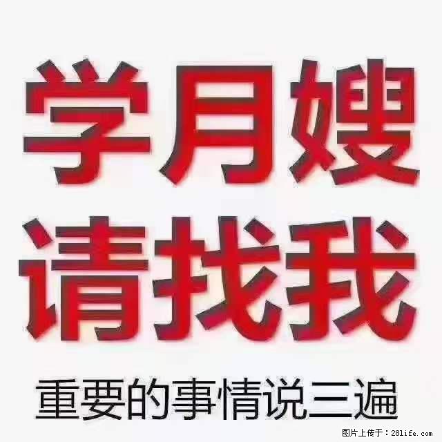 为什么要学习月嫂，育婴师？ - 其他广告 - 广告专区 - 甘南分类信息 - 甘南28生活网 gn.28life.net