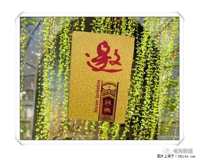 【春天，广西桂林灌阳县向您发出邀请！】开篇 - 游山玩水 - 甘南生活社区 - 甘南28生活网 gn.28life.net