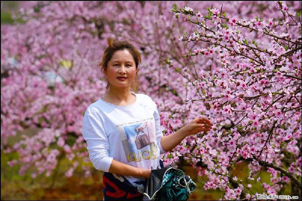 【春天，广西桂林灌阳县向您发出邀请！】官庄村有个醉美的桃花园 - 游山玩水 - 甘南生活社区 - 甘南28生活网 gn.28life.net