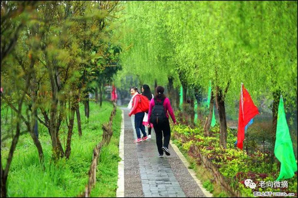 【春天，广西桂林灌阳县向您发出邀请！】江口老街又逢春 - 游山玩水 - 甘南生活社区 - 甘南28生活网 gn.28life.net