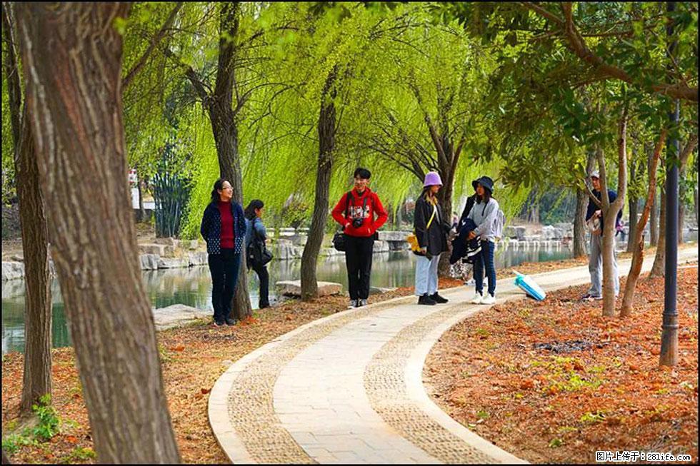 【春天，广西桂林灌阳县向您发出邀请！】江口老街又逢春 - 游山玩水 - 甘南生活社区 - 甘南28生活网 gn.28life.net