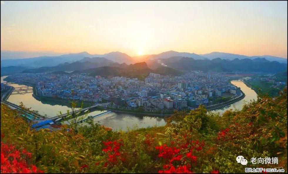 【春天，广西桂林灌阳县向您发出邀请！】登麒麟山，相约映山红 - 游山玩水 - 甘南生活社区 - 甘南28生活网 gn.28life.net