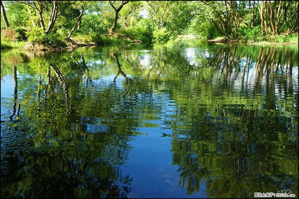 【春天，广西桂林灌阳县向您发出邀请！】熊家寨湿地公园 - 游山玩水 - 甘南生活社区 - 甘南28生活网 gn.28life.net