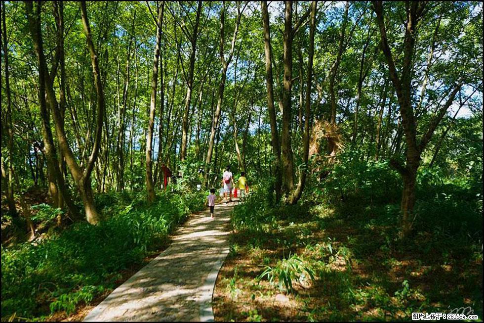 【春天，广西桂林灌阳县向您发出邀请！】熊家寨湿地公园 - 游山玩水 - 甘南生活社区 - 甘南28生活网 gn.28life.net