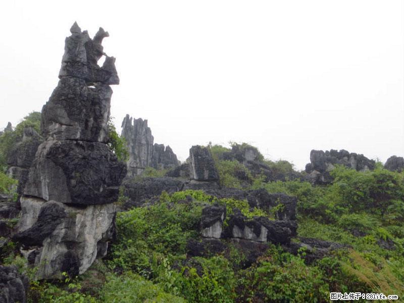 桂林旅游名城景点：灌阳文市石林 - 游山玩水 - 甘南生活社区 - 甘南28生活网 gn.28life.net