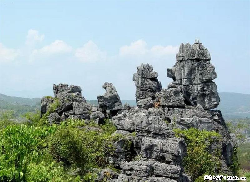 桂林旅游名城景点：灌阳文市石林 - 游山玩水 - 甘南生活社区 - 甘南28生活网 gn.28life.net