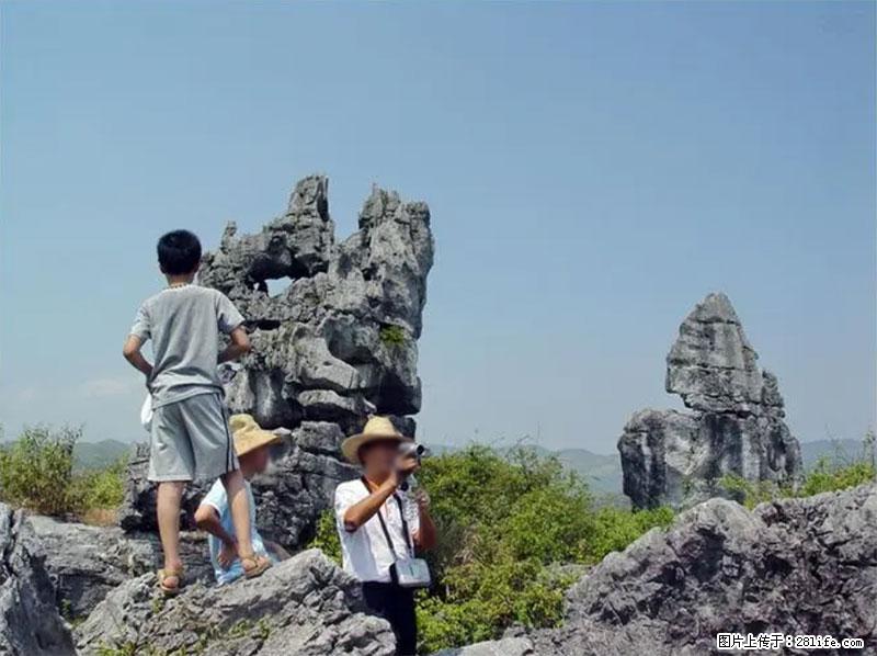 桂林旅游名城景点：灌阳文市石林 - 游山玩水 - 甘南生活社区 - 甘南28生活网 gn.28life.net