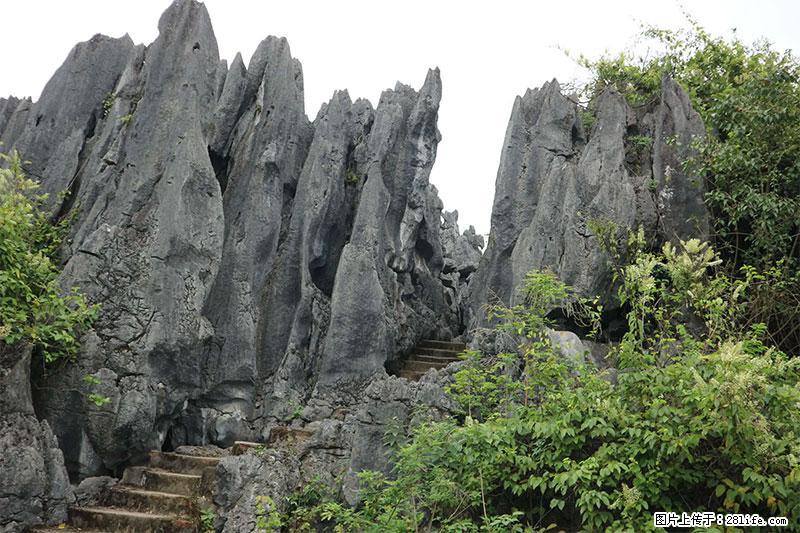 桂林旅游名城景点：灌阳文市石林 - 游山玩水 - 甘南生活社区 - 甘南28生活网 gn.28life.net