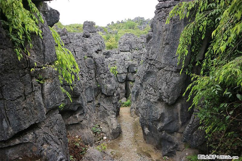 桂林旅游名城景点：灌阳文市石林 - 游山玩水 - 甘南生活社区 - 甘南28生活网 gn.28life.net