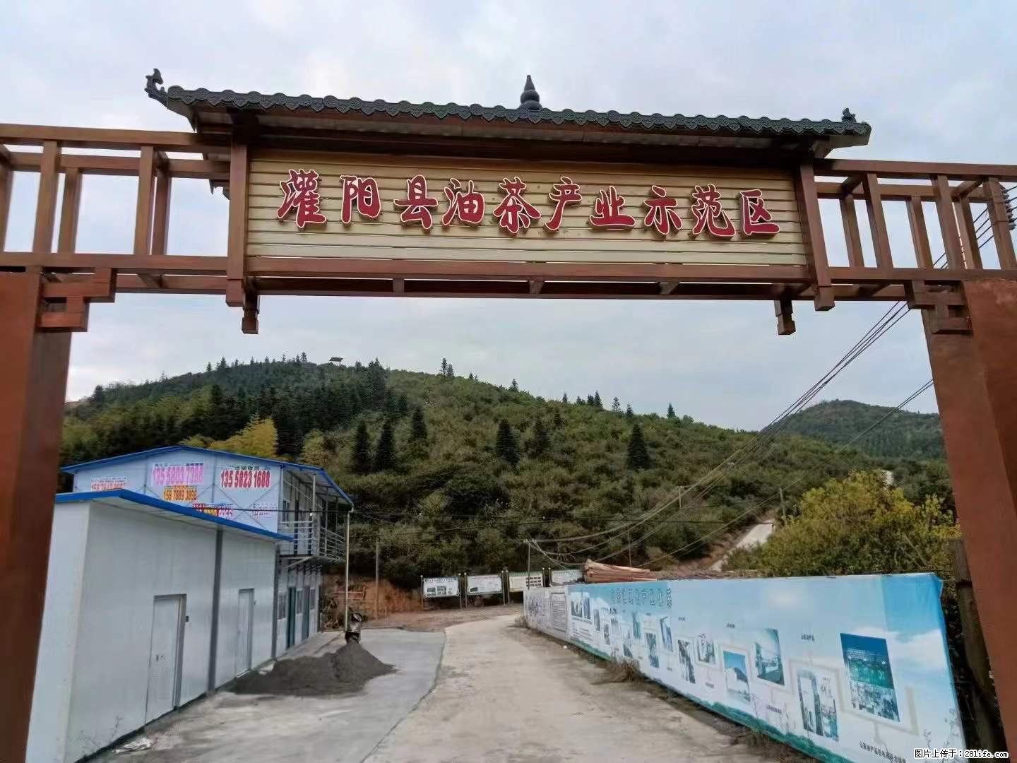 【灌阳县油茶产业示范区】一个有着充实的精神生活的人，对待身外之物自会有一种淡泊的态度 - 土特产 - 饮食特产 - 甘南分类信息 - 甘南28生活网 gn.28life.net