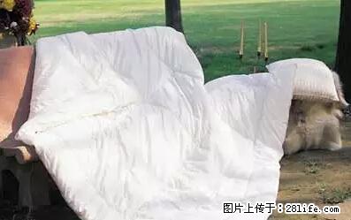 被子有异味？只要这样做，比晒太阳还强100倍！ - 家居生活 - 甘南生活社区 - 甘南28生活网 gn.28life.net