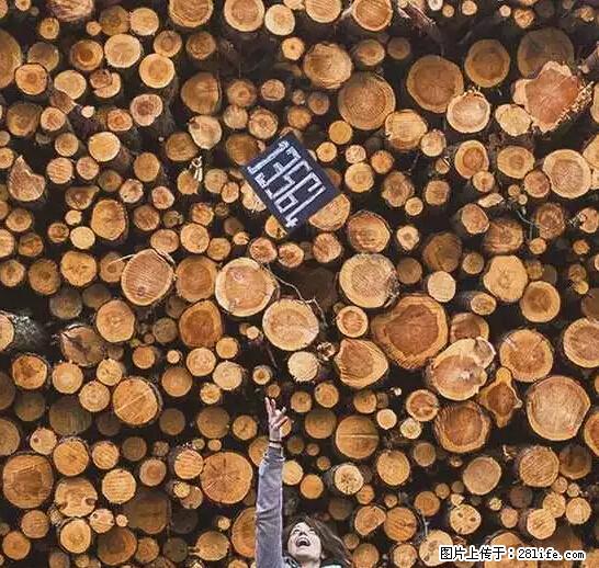 辞掉工作周游世界？现在他们在洗厕所…… - 游山玩水 - 甘南生活社区 - 甘南28生活网 gn.28life.net