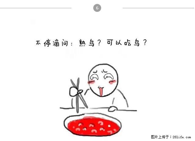 千万不要和这9种哈卵一起吃火锅！ - 美食天地 - 甘南生活社区 - 甘南28生活网 gn.28life.net