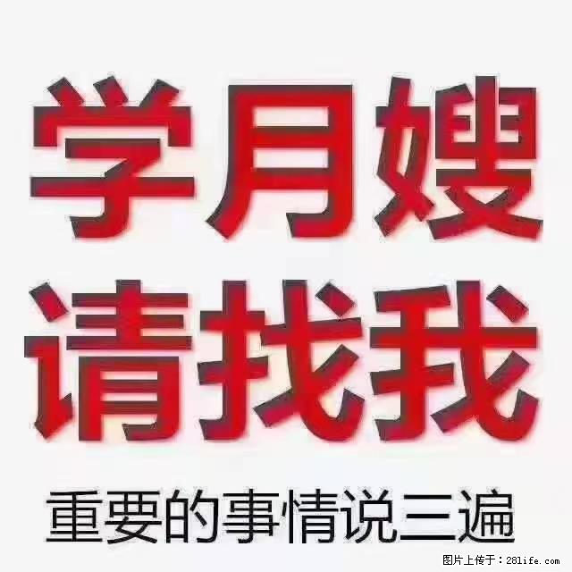 【招聘】月嫂，上海徐汇区 - 职场交流 - 甘南生活社区 - 甘南28生活网 gn.28life.net