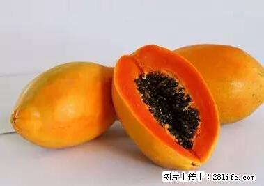 晕车、脚气、牙齿变黄、皮肤粗糙？学会这些三分钟搞定！ - 甘南生活资讯 - 甘南28生活网 gn.28life.net