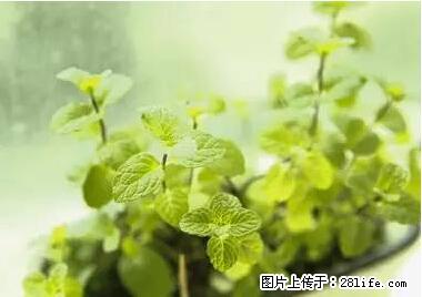 晕车、脚气、牙齿变黄、皮肤粗糙？学会这些三分钟搞定！ - 甘南生活资讯 - 甘南28生活网 gn.28life.net