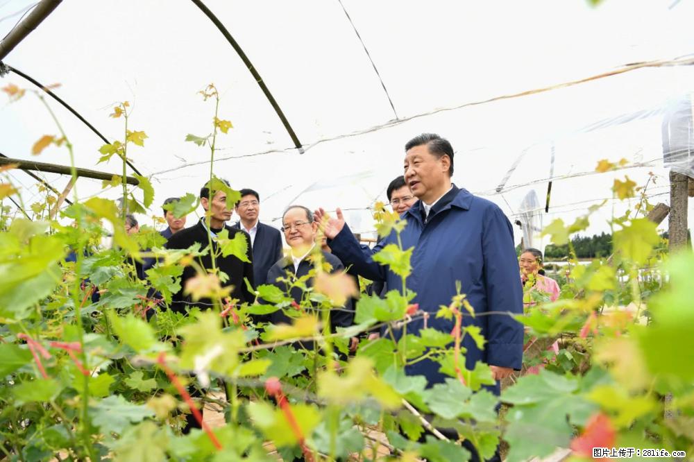 习近平赴广西考察调研 - 甘南生活资讯 - 甘南28生活网 gn.28life.net