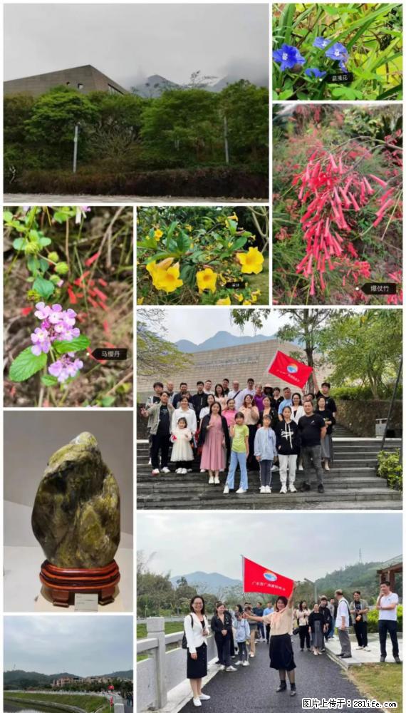 “粤灌文化 美好生活”油茶文化主题活动在广东深圳成功举办 - 甘南生活资讯 - 甘南28生活网 gn.28life.net