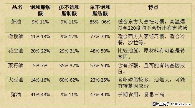 揭秘茶油的5大核心营养成分！被称为人体健康的“守护盾”！ - 甘南生活资讯 - 甘南28生活网 gn.28life.net