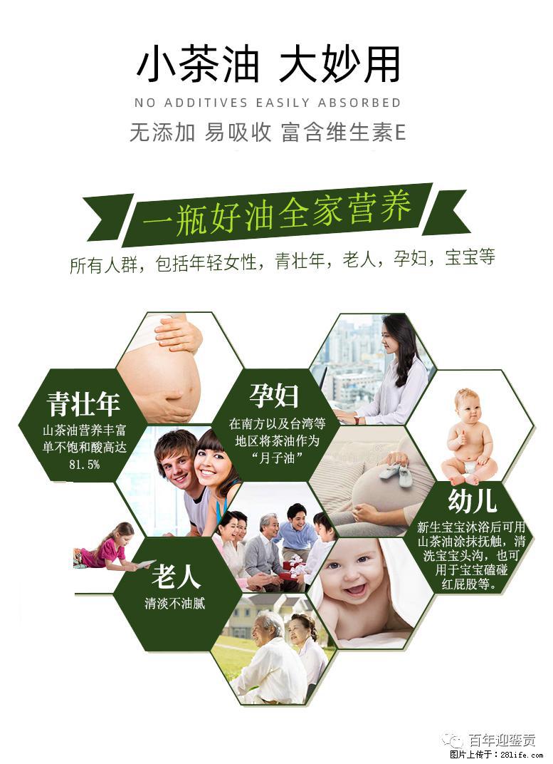 世界没有真相，只有认知，最好的食用油是中国的山茶油！ - 甘南生活资讯 - 甘南28生活网 gn.28life.net