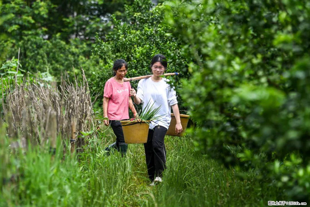 全网追的“扁担女孩”，找了一份暑假工，时薪12元 - 甘南生活资讯 - 甘南28生活网 gn.28life.net