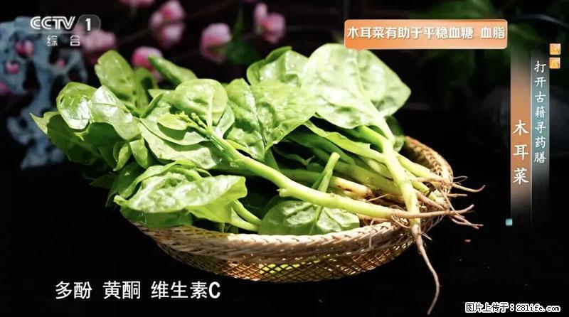 比牛奶补钙还厉害！凉血解毒、稳血糖...这菜冬天必吃，很多人却当草 - 甘南生活资讯 - 甘南28生活网 gn.28life.net